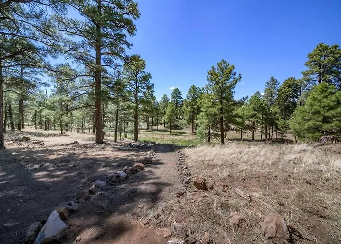 Spacious Cozy Retreat On 5-acres With Hottub * Elden Pueblo