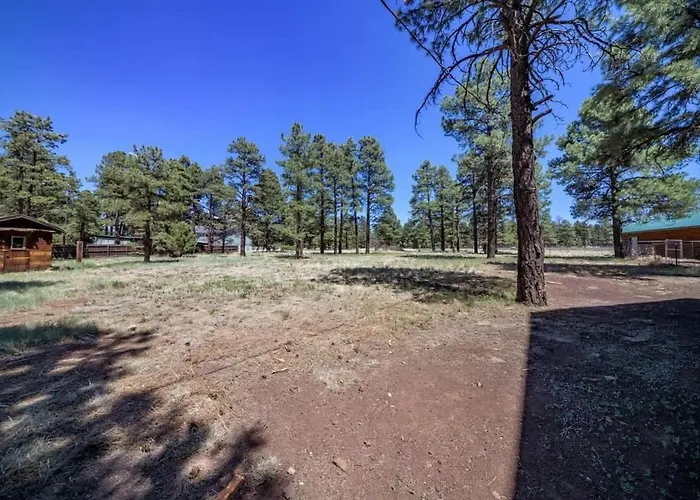 Holiday home Spacious Cozy Retreat On 5-acres With Hottub *