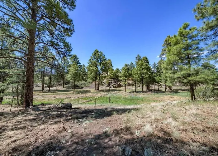 Holiday home Spacious Cozy Retreat On 5-acres With Hottub