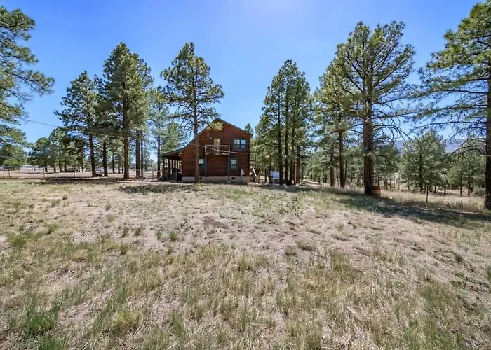 Spacious Cozy Retreat On 5-acres With Hottub *